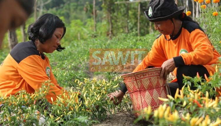 SUSTAINABLE DEVELOPMENT GOALS INDUSTRI SAWIT NASIONAL | GIMNI