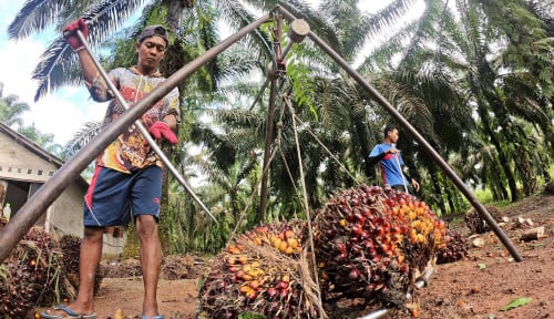 SBE Tidak Lagi Dikategorikan B3, Sahat Sinaga: Ini Sumber Daya Baru