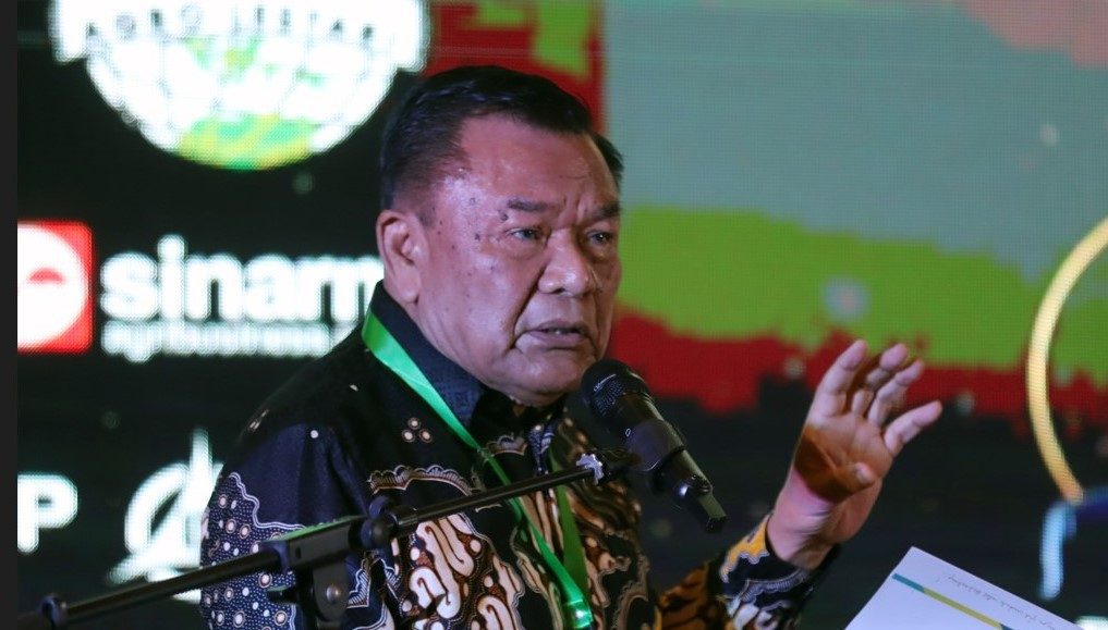 DMO 50 persen, DMSI Usulkan Penundaan Bea Keluar CPO