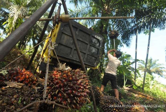 Banyak Tantangan, Industri Hilir Kelapa Sawit Butuh Dukungan Pemerintah