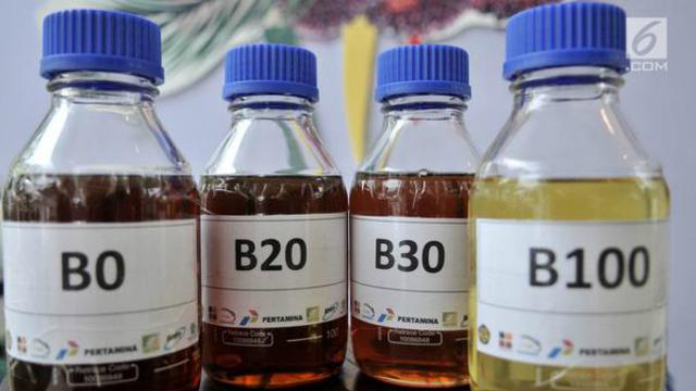 Tekan Impor Solar Rp 140 Triliun, Bioenergi Jadi Solusi