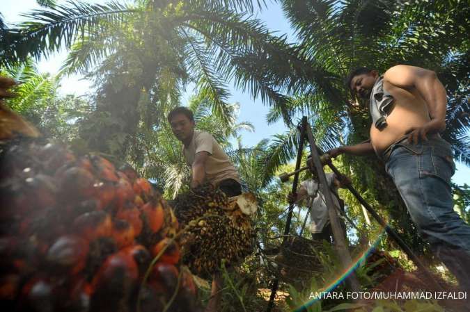 Harga CPO Masih Tertekan, Begini Rekomendasi Saham Emiten Sawit – GIMNI