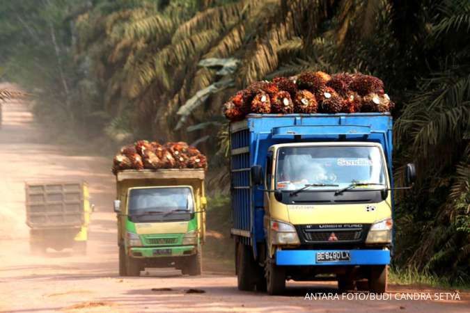Kebijakan EUDR Tidak Melibatkan Negara-Negara Produsen Sawit