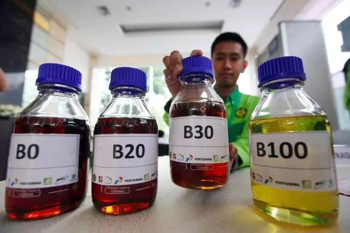 Biodiesel B50