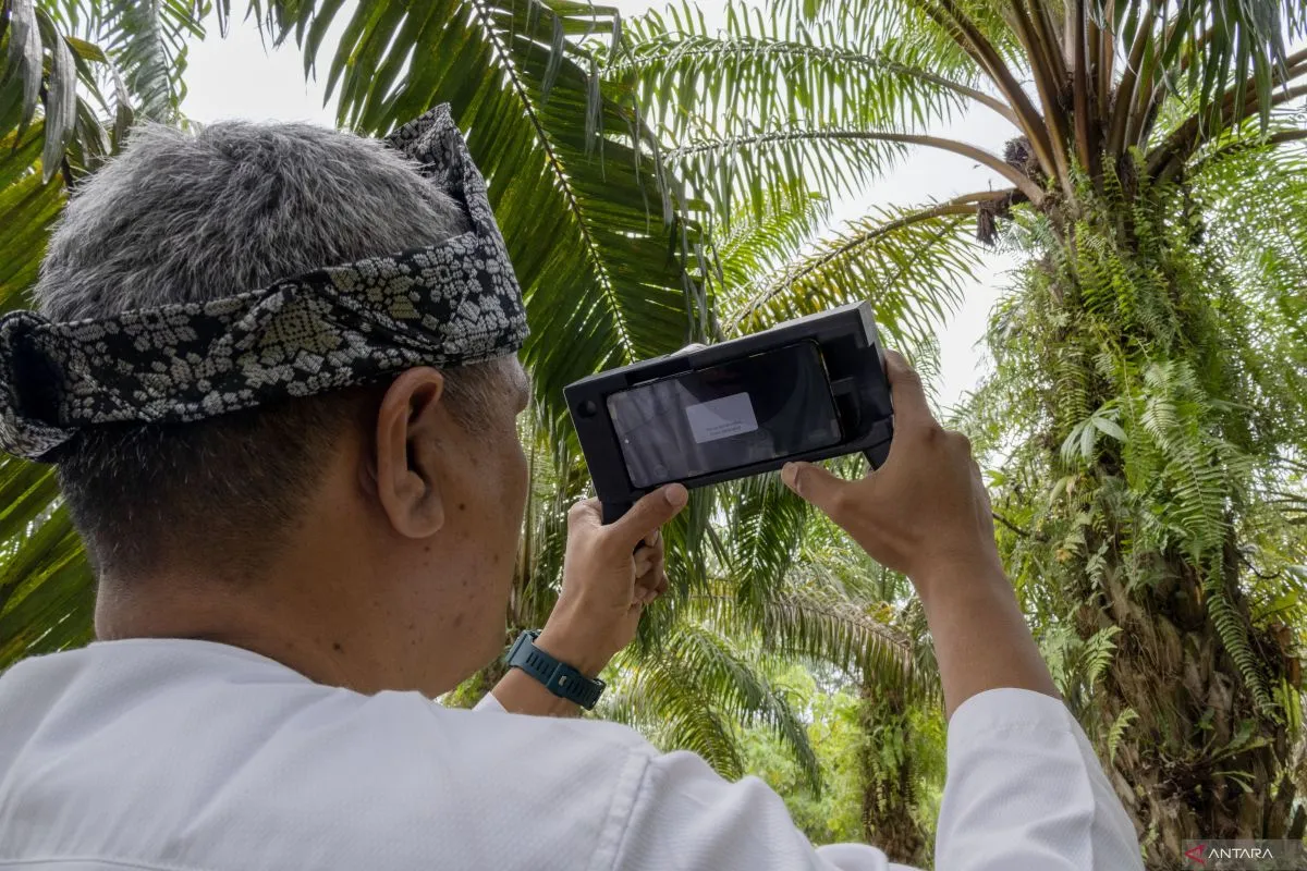 sensor kematangan sawit
