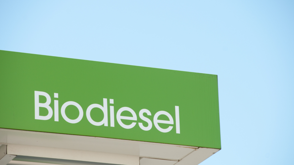 CPO biodiesel